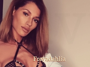 Freyadahlia
