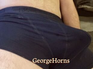 GeorgeHorns