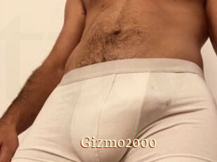Gizmo2000
