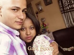 Garu_pucca