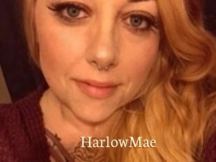 Harlow_Mae