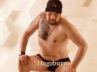 Hugoburn1