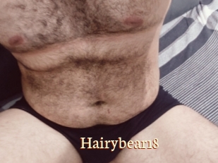 Hairybear18
