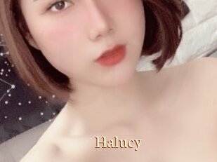 Halucy