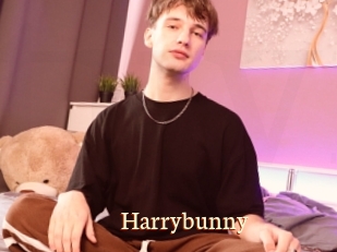 Harrybunny