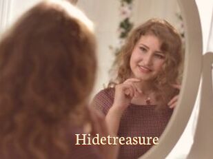 Hidetreasure