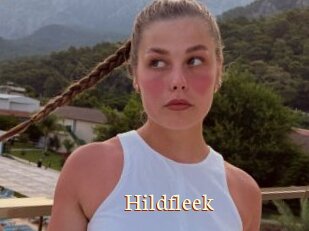 Hildfleek