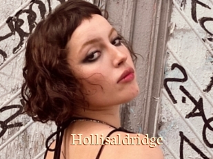 Hollisaldridge