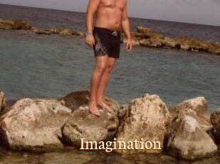Imagination