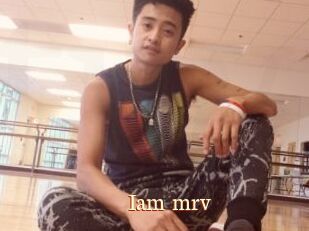 Iam_mrv