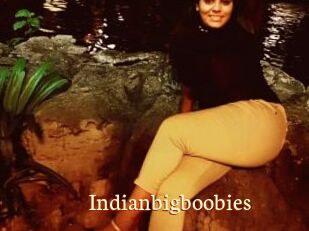 Indianbigboobies