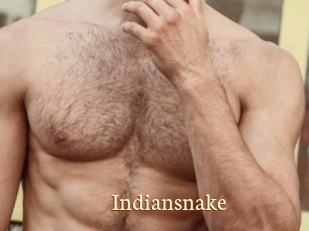 Indiansnake