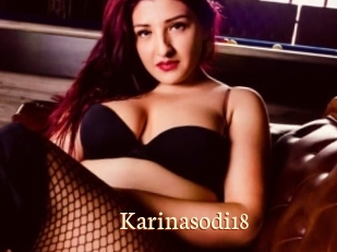 Karinasodi18