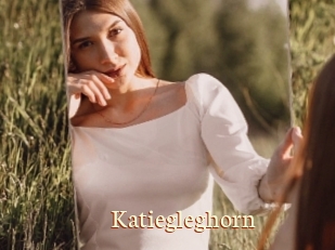 Katiegleghorn