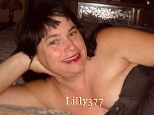 Lilly377