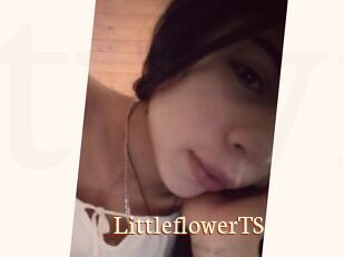 LittleflowerTS