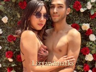 Lizyandmarks