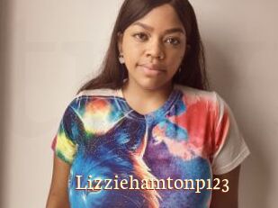 Lizziehamtonp123