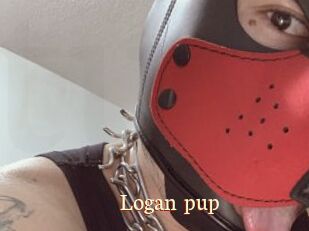 Logan_pup