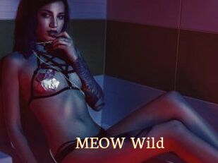 MEOW_Wild
