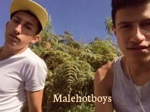 Malehotboys