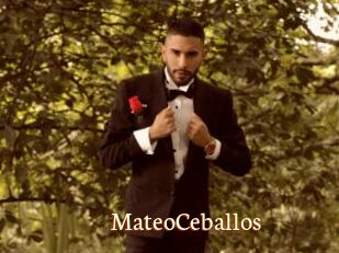 MateoCeballos