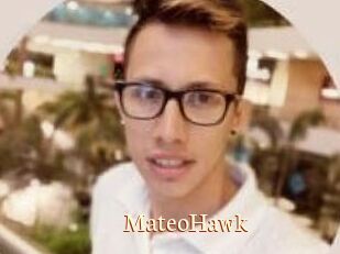 MateoHawk