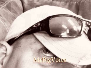MrBigVoice