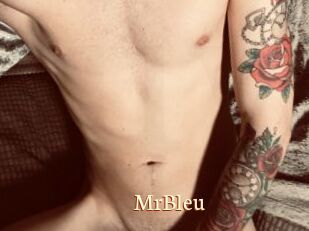 MrBleu