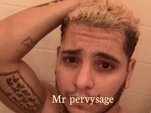 Mr_pervysage