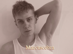Marcuscobra