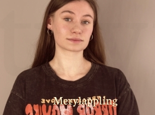 Merylappling