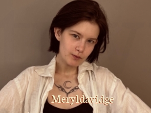 Meryldavidge