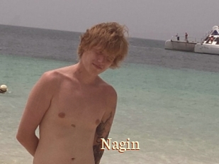 Nagin