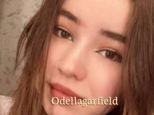 Odellagarfield