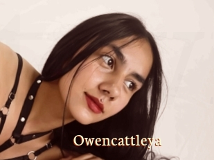 Owencattleya