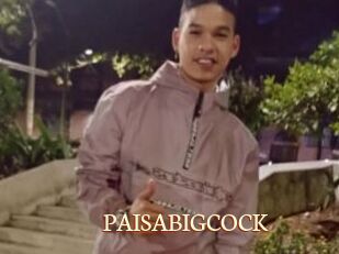 PAISABIGCOCK