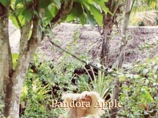 Pandora_Apple