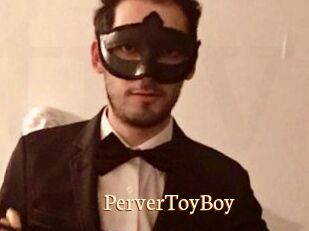 PerverToyBoy