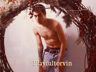 Playfultorvin