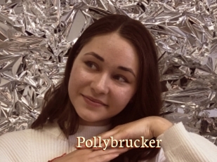 Pollybrucker