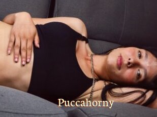 Puccahorny