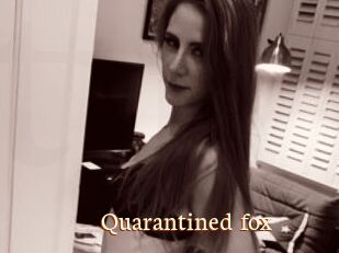 Quarantined_fox