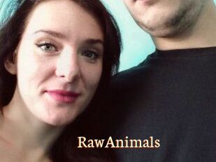 RawAnimals