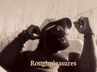 Roughpleasures