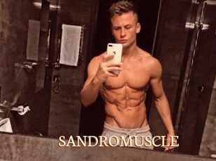 SANDRO_MUSCLE