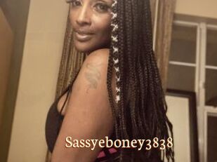 Sassyeboney3838