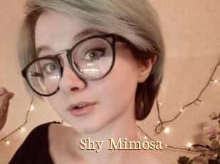 Shy_Mimosa