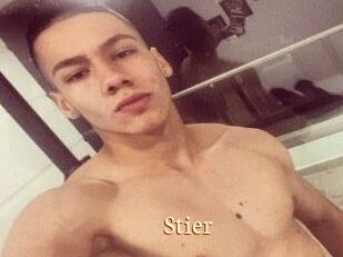 Stier