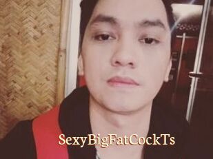 _SexyBigFatCockTs_